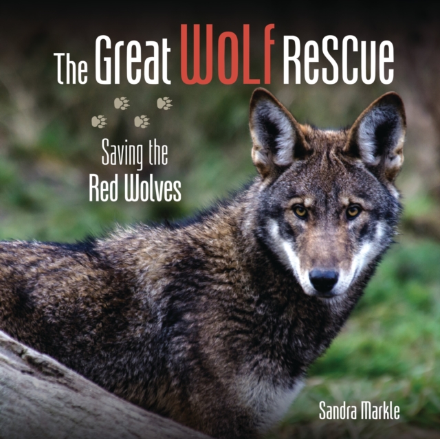 The Great Wolf Rescue : Saving the Red Wolves, EPUB eBook