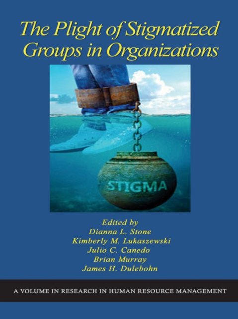 The Plight of Stigmatized Groups in Organizations, EPUB eBook
