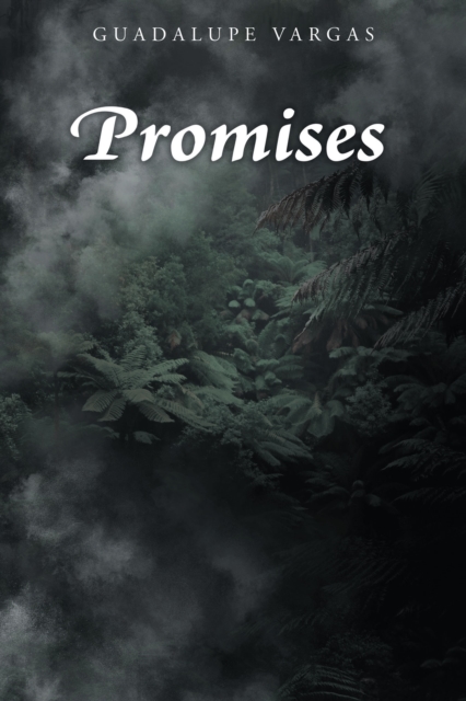 Promises, EPUB eBook