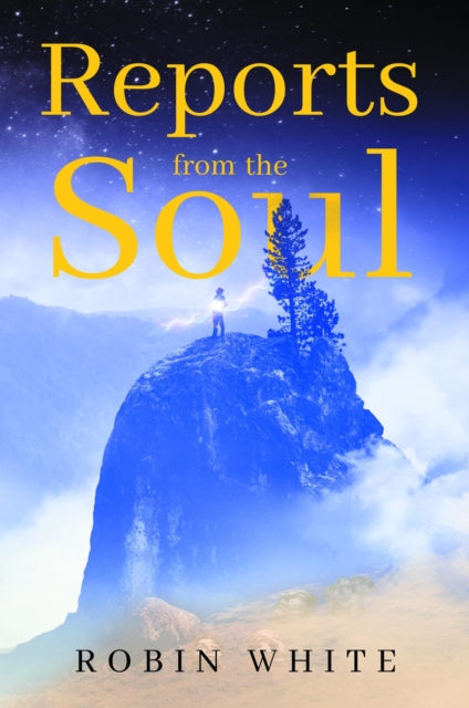 Reports From The Soul, EPUB eBook