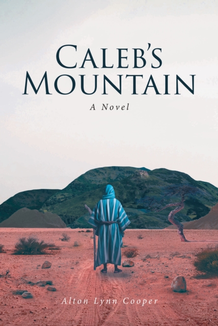 Calebs Mountain : A Novel, EPUB eBook