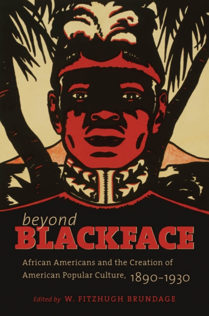Beyond Blackface : African Americans and the Creation of American Popular Culture, 1890-1930, PDF eBook