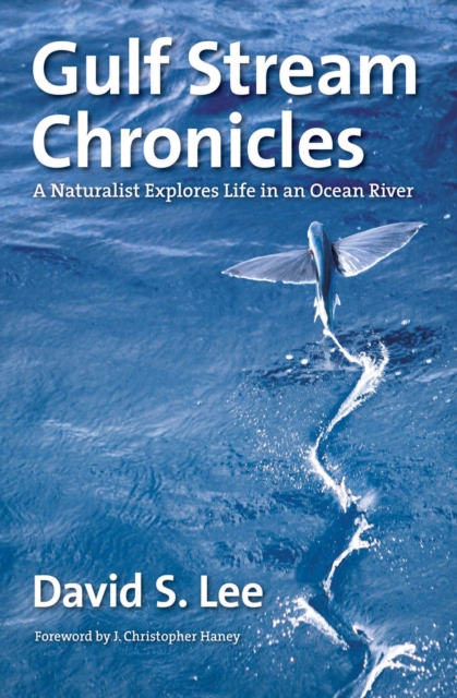 Gulf Stream Chronicles : A Naturalist Explores Life in an Ocean River, PDF eBook