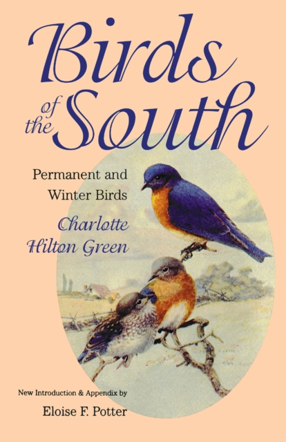 Birds of the South : Permanent and Winter Birds, PDF eBook