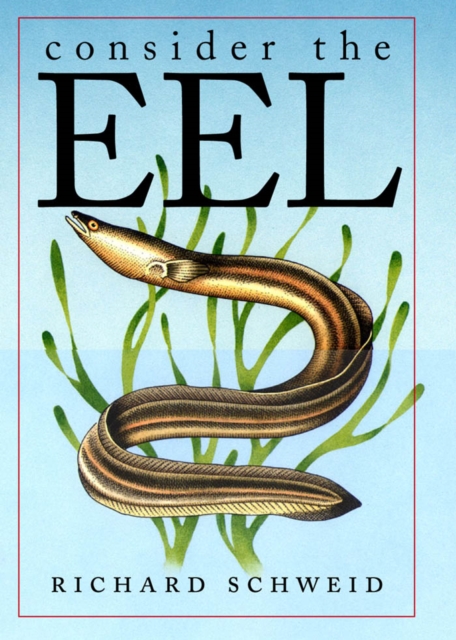 Consider the Eel, PDF eBook