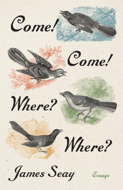 Come! Come! Where? Where? : Essays, PDF eBook