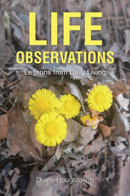 LIFE  OBSERVATIONS : Lessons from Daily Living, EPUB eBook