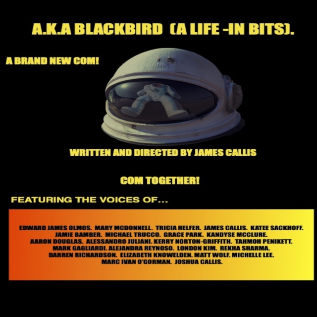 A.K.A Blackbird (A Life- in bits.), eAudiobook MP3 eaudioBook