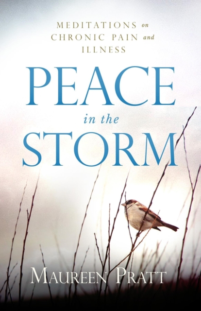 Peace in the Storm : Meditations on Chronic Pain and Illness, EPUB eBook