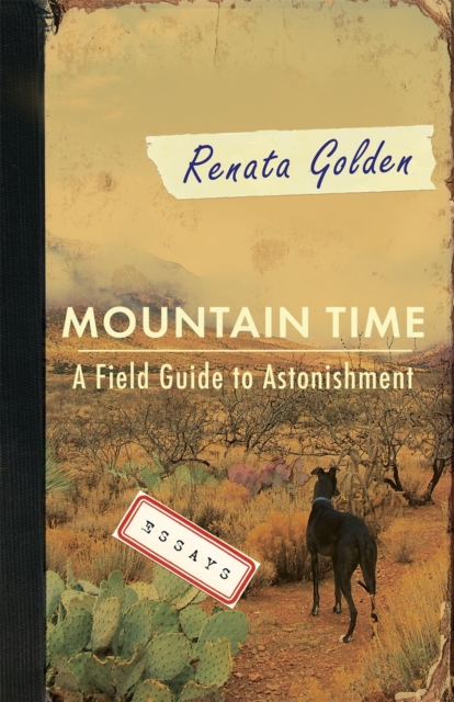 Mountain Time : A Field Guide to Astonishment, PDF eBook